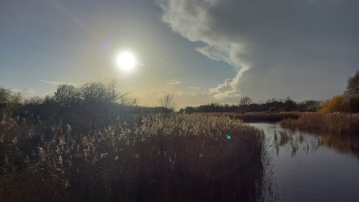 Kromslootpark Almere