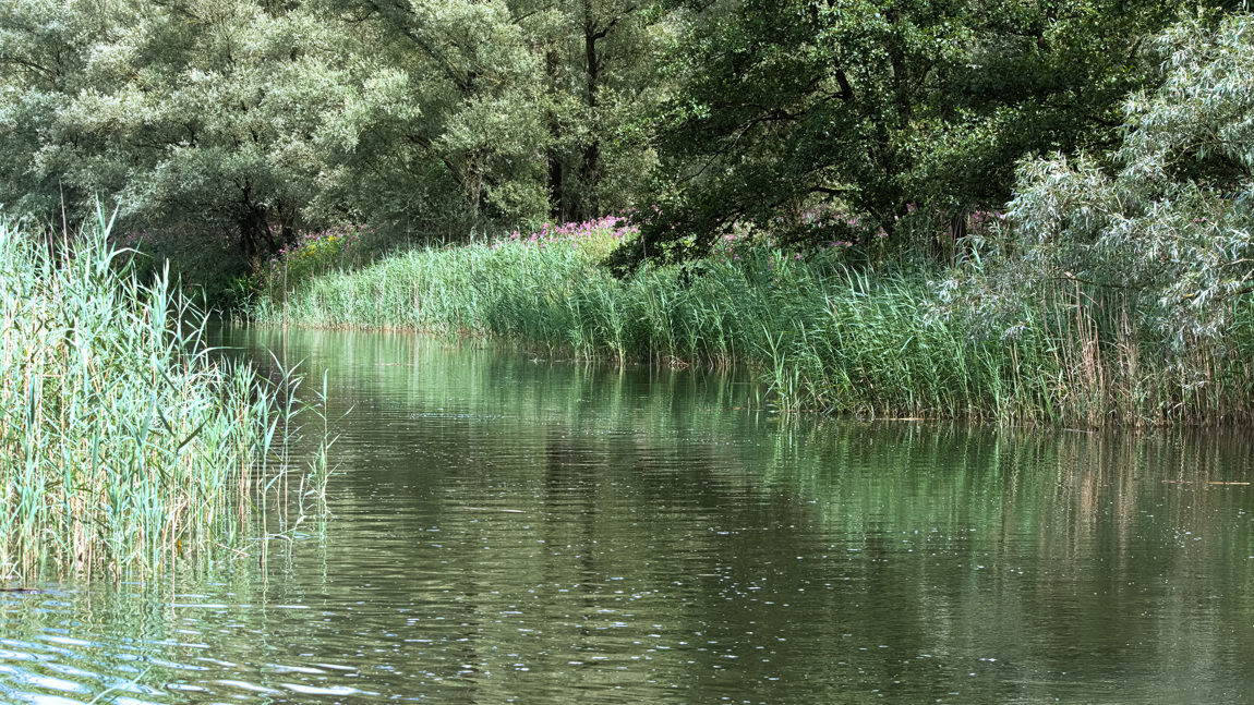 Het Buiten Kooigat is op sommige delen spannend smal.