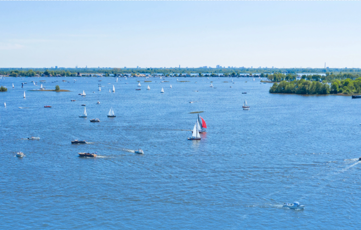 Terugblik Belangenbehartiging