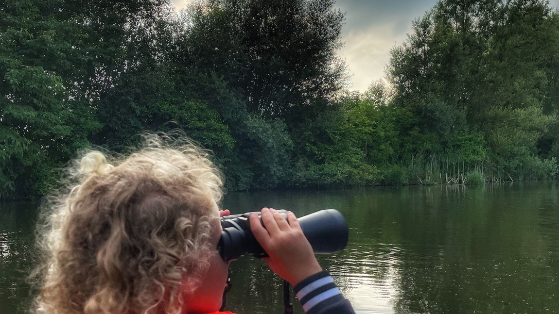 Foto: Staatsbosbeheer